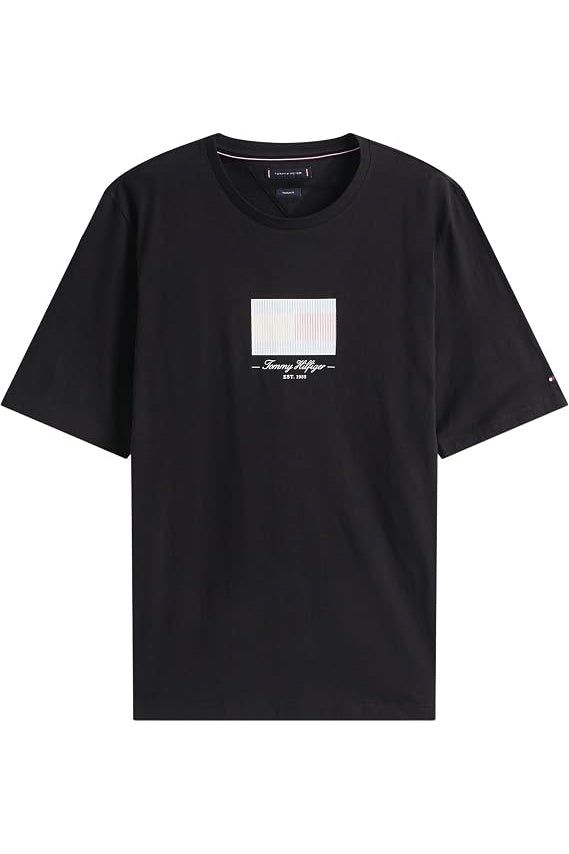 Ex Tommy Hilfiger Ithaca Flag T-Shirt black - product only Colour: Dessert Sky
