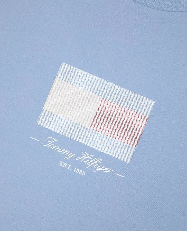 Ex Tommy Hilfiger Ithaca Flag T-Shirt - close-up of chest print Colour: Breezy Sky